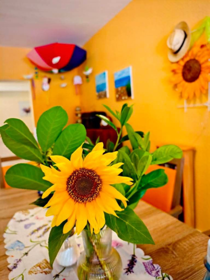 FB IMG 1765450334205